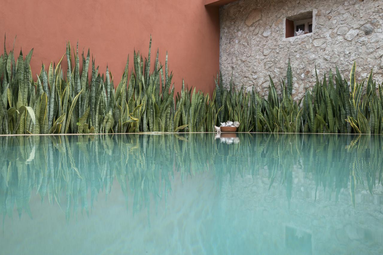 Casa De Camposampiero Hotel Boutique Mérida Exterior photo